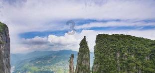 逗小猴开心系列194